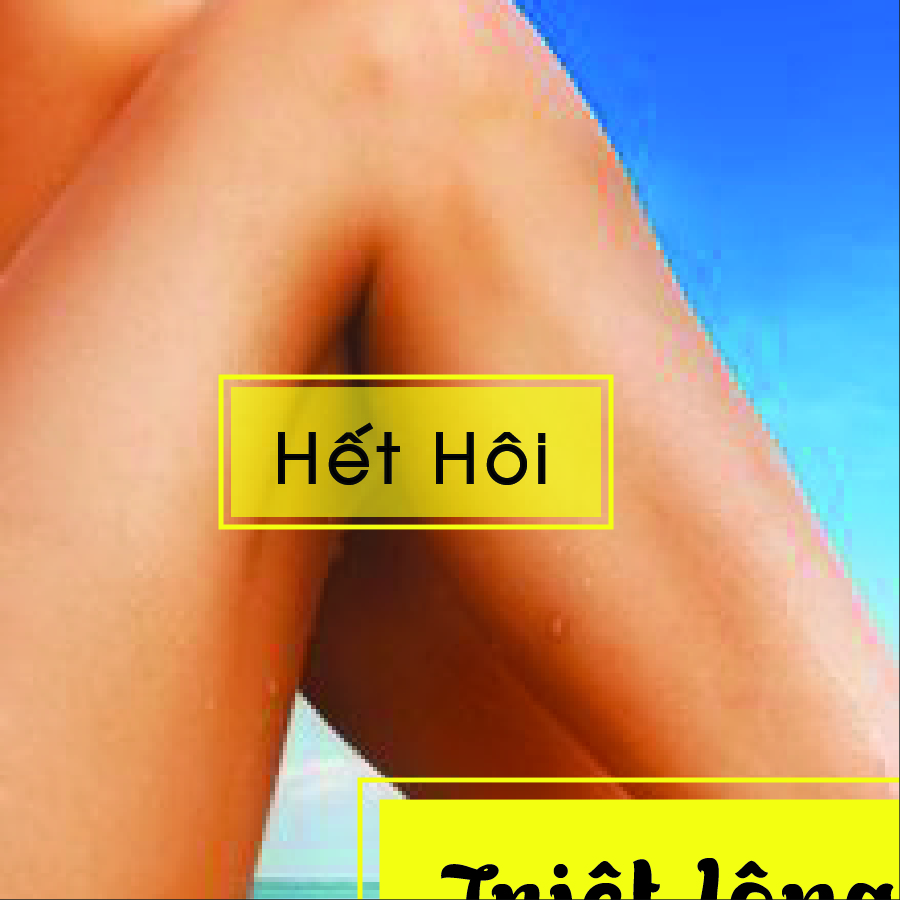 triet-long-vinh-vien